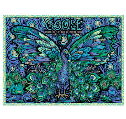 Goose Boston, MA – 9/13 + 9/14 Poster by Todd Slater – Frogs ✅ Our Feedback